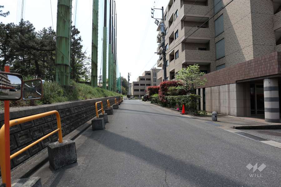 敷地南東側の前面道路（北東側から）