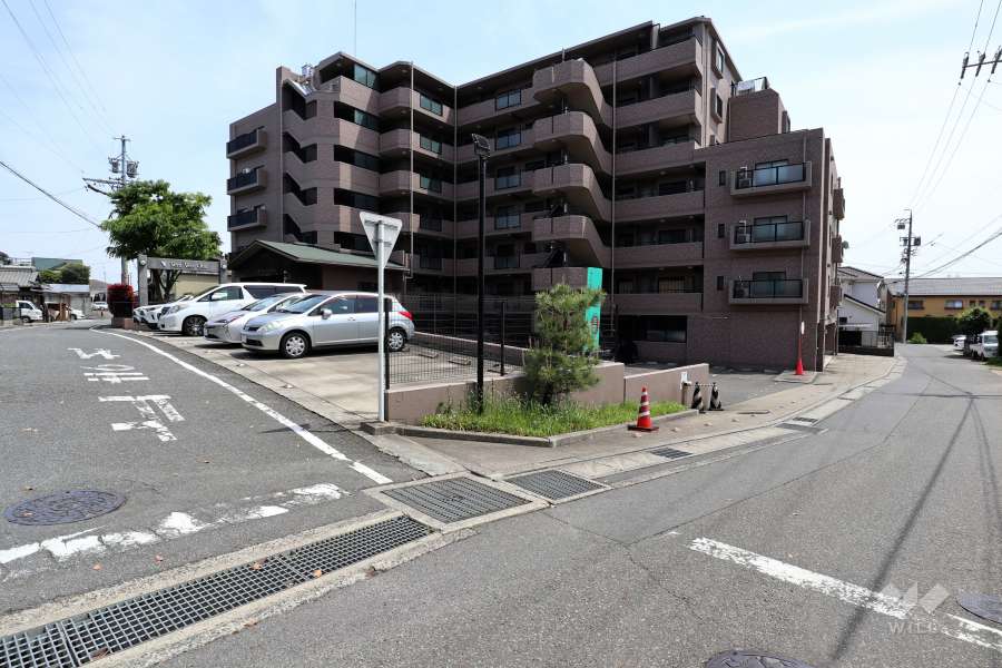 敷地北側と西側の前面道路（北西側から）