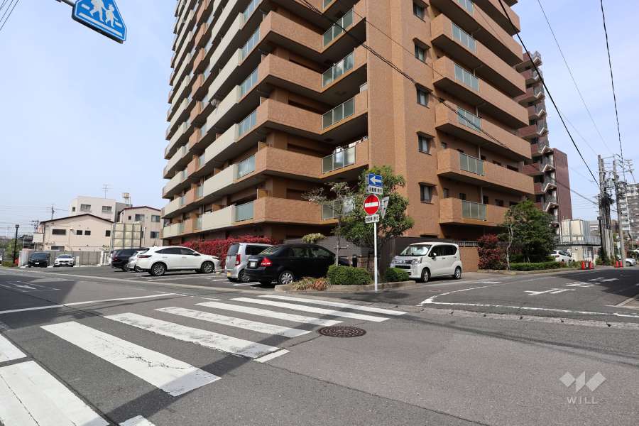 敷地南側と東側の前面道路（南東側から）