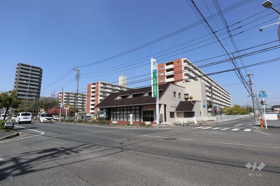 敷地西側と南側の前面道路（南西側から）