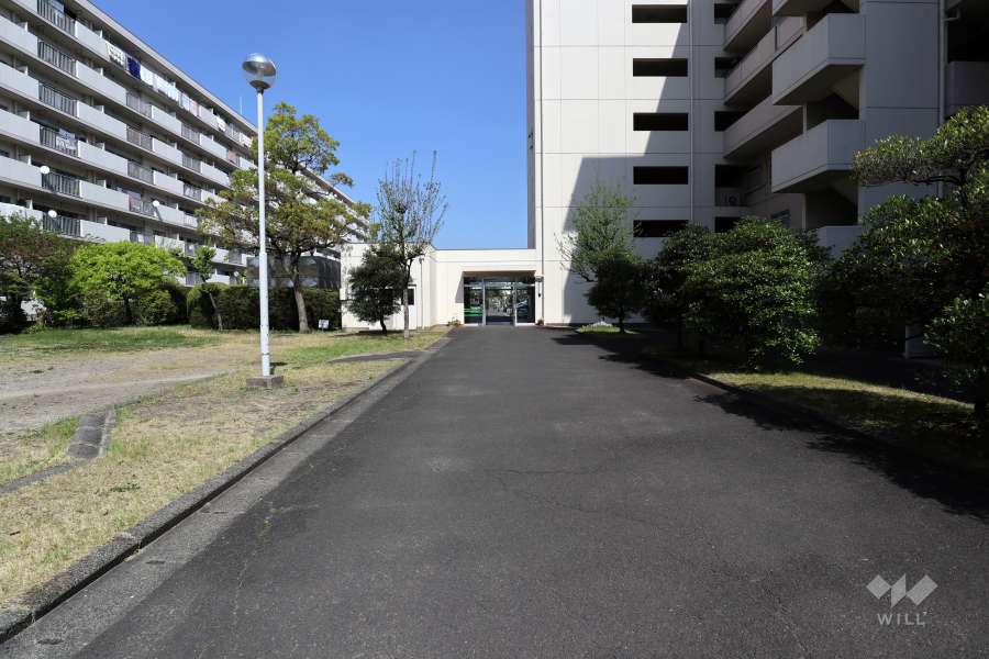 敷地北側の通路
