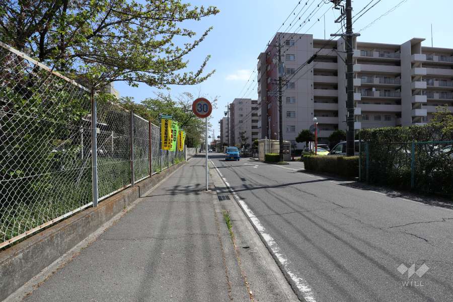 敷地東側の前面道路（北側から）