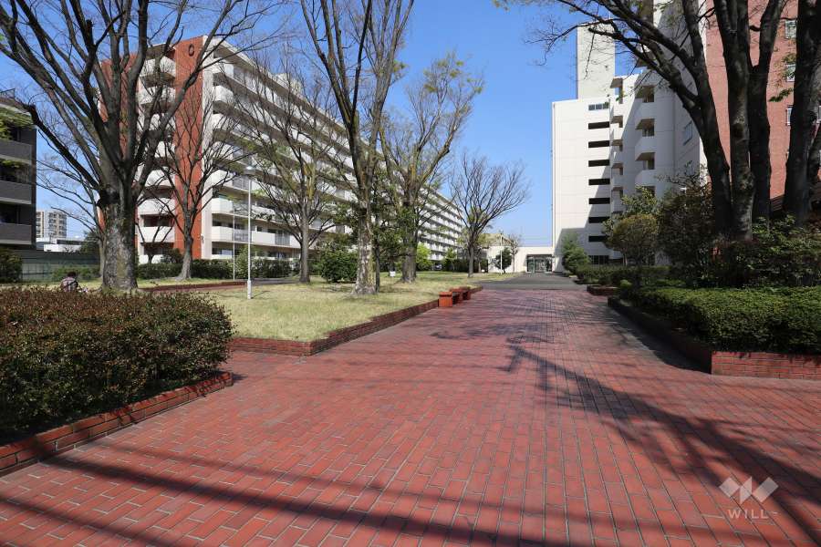 敷地西側の通路