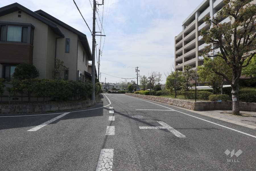 敷地南側の前面道路（東側から）