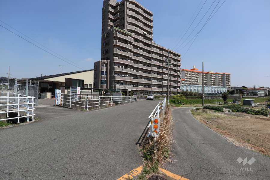 敷地南側の前面道路（西側から）