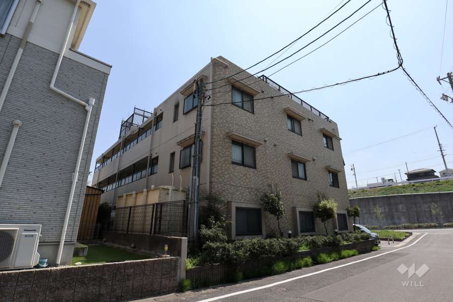 アピエス共和の外観（北西側から）