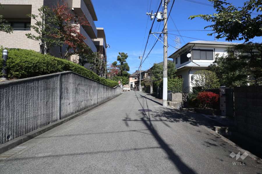敷地東側の前面道路(南側から)