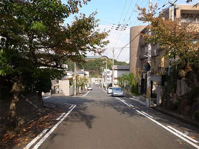 敷地北西側の前面道路。駅に向かって下り坂。街路樹のきれいな通りです。