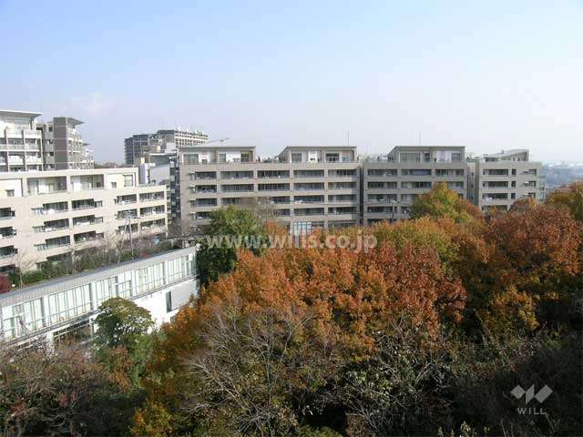 緑豊かな住環境（一番右側の棟が1番館です）