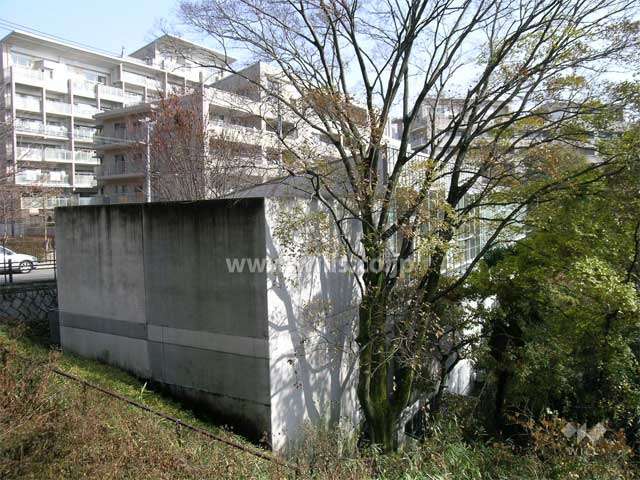 緑に囲まれたスパアリーナ（大浴場）