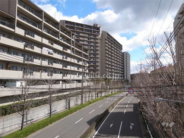 敷地南側の通り。街路樹がきれいです。