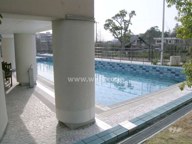 約20mのプライベートプール