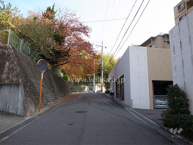 敷地の北側道路（西側から）　周辺は緑豊かで、閑静な住宅地です。