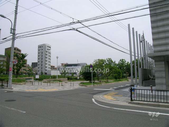 敷地の東側は道路を挟んで、『羽鷹池公園』です