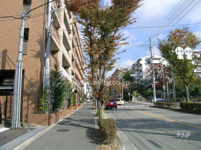 南側は街路樹のきれいなバス通り
