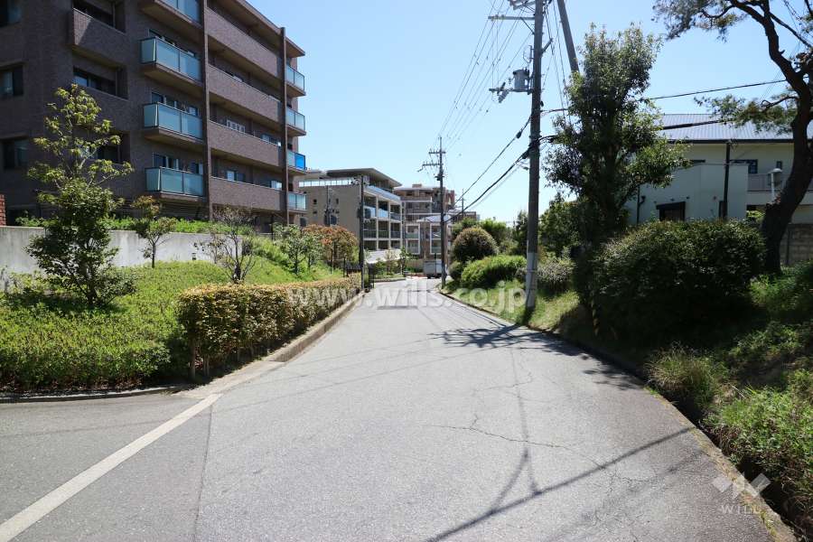 敷地西側前面道路(北側から)