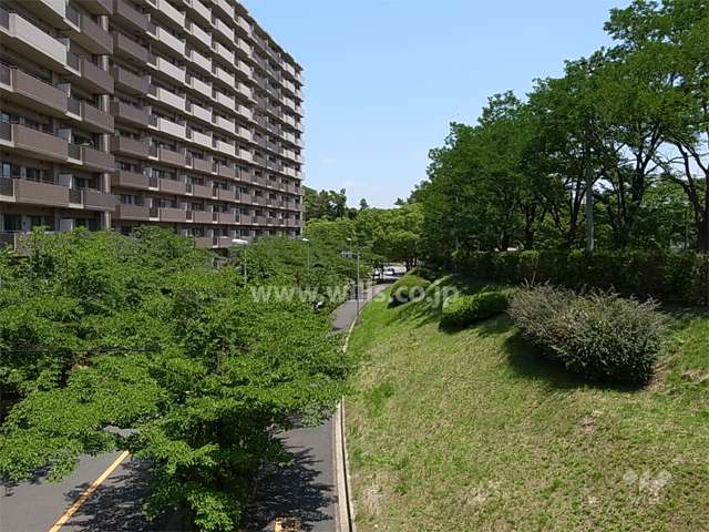 敷地南側の前面道路。周辺には緑地スペースや街路樹のある通りが多く、たいへん緑豊かです。