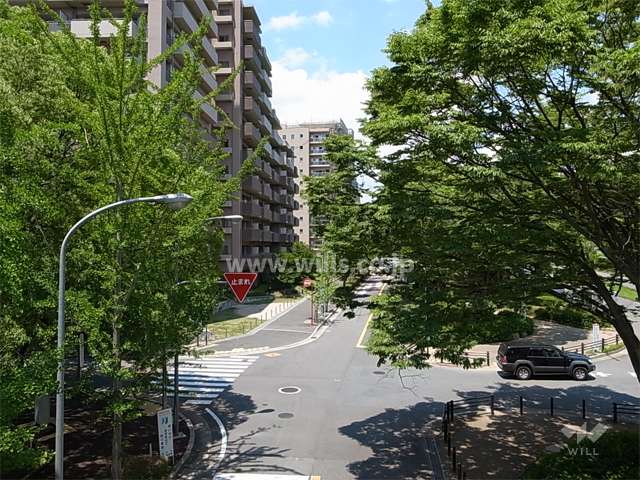 敷地東側は府道121号。街路樹のきれいな通りです。