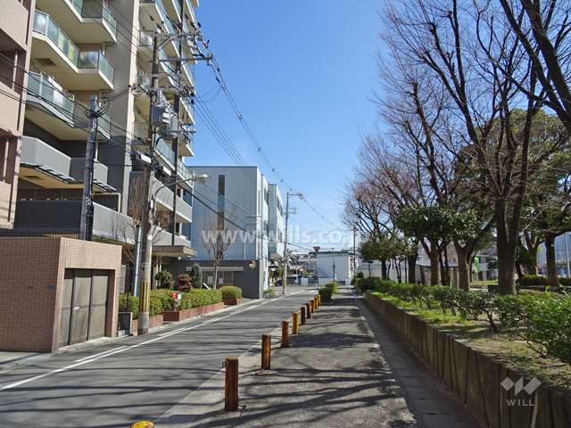敷地南側の前面道路。道を挟んで南側には緑豊かな『南吹田公園』があります。