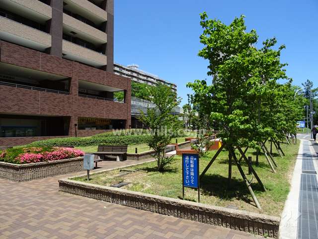 敷地前の緑地スペース