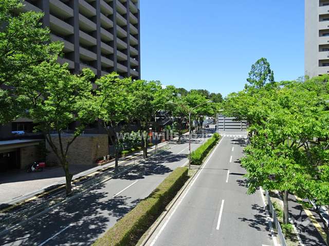 敷地東側の前面道路