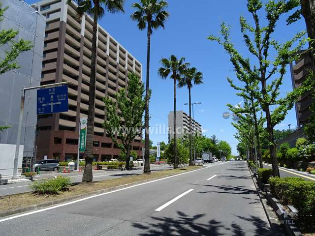敷地南側の前面道路
