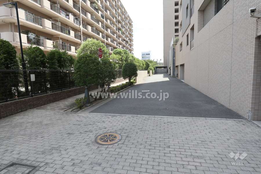 歩車分離設計です。
