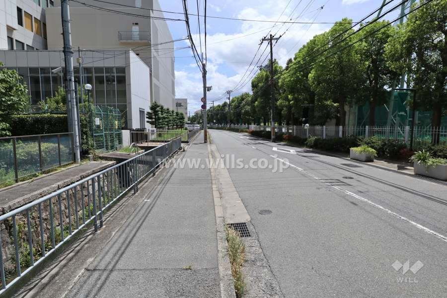 敷地西側の前面道路
