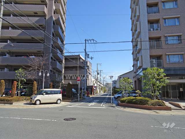 敷地北側の前面道路