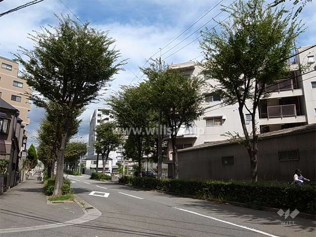 敷地の北側の前面道路は、街路樹のきれいな通りです。