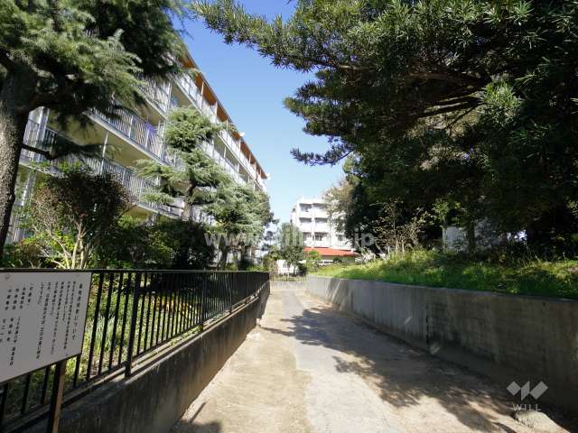 敷地東側の通路。道を挟んで東側には『田能西公園』があります。