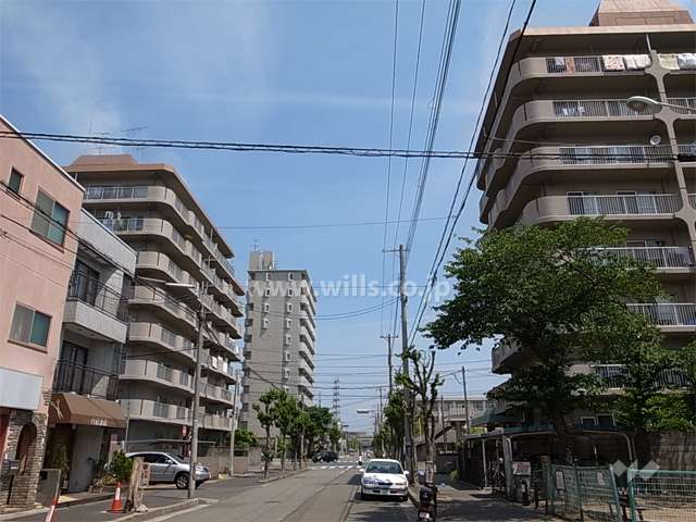 敷地西側の前面道路。右がA棟、左がB棟です。