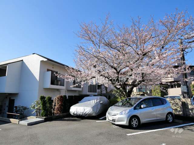 敷地内駐車場。春には桜がきれいです。
