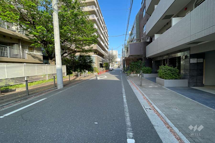 敷地北側の前面道路（西側から）