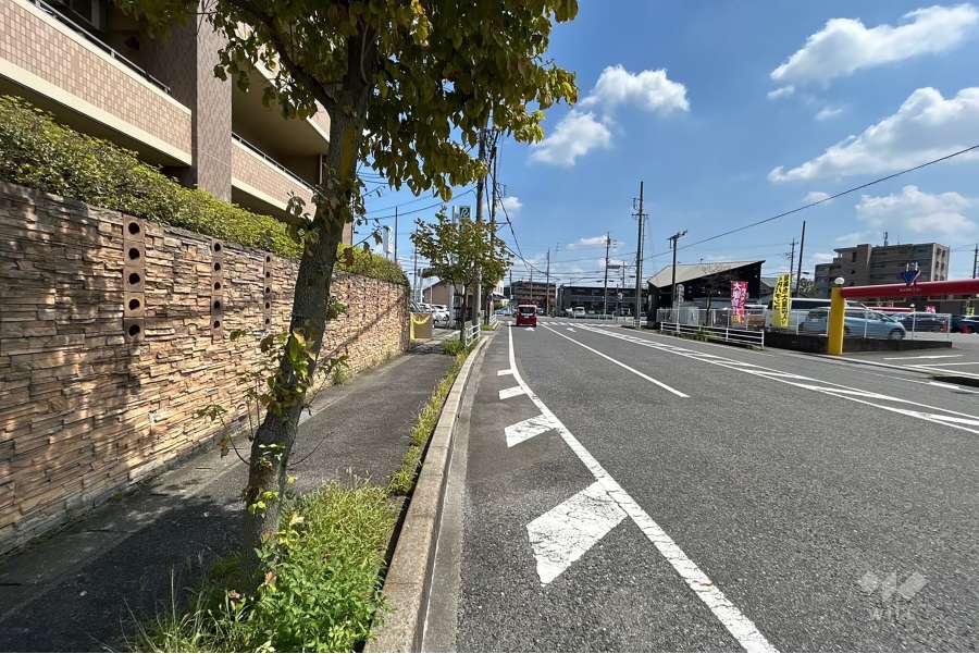 敷地南側の前面道路（西側から）