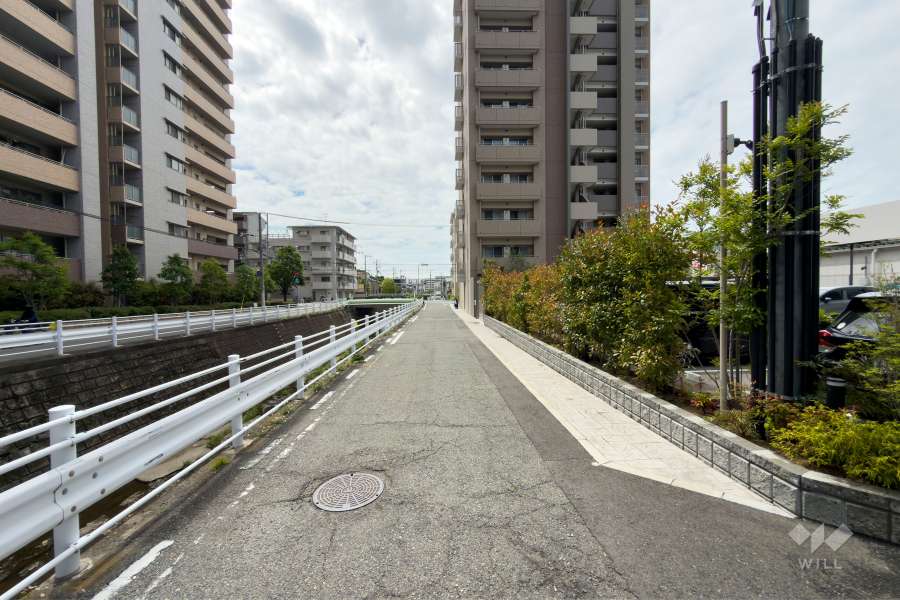 敷地東側の前面道路（北側から）