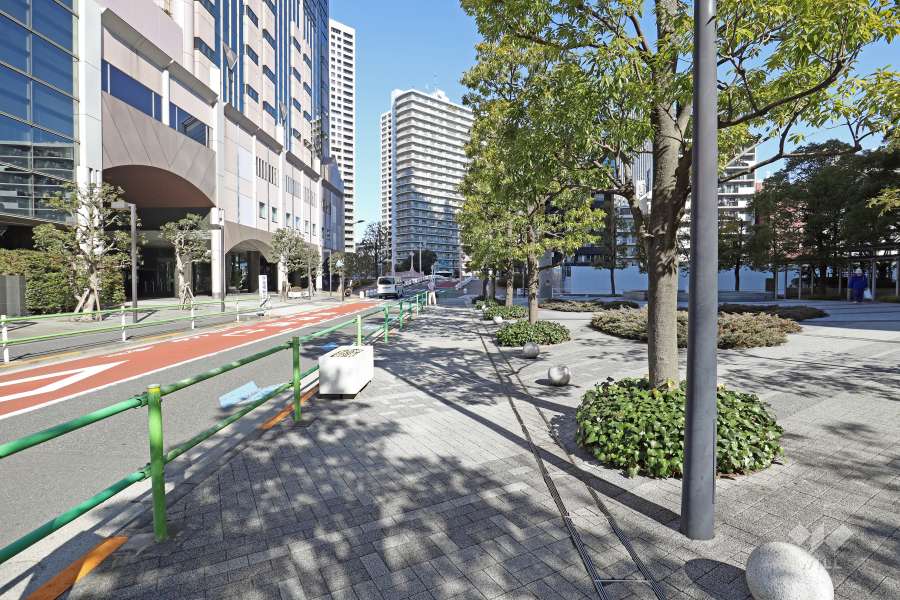 敷地西側前面道路
