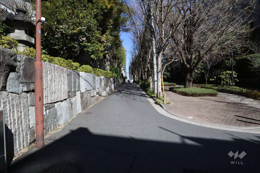 敷地東側の前面道路(南側から)