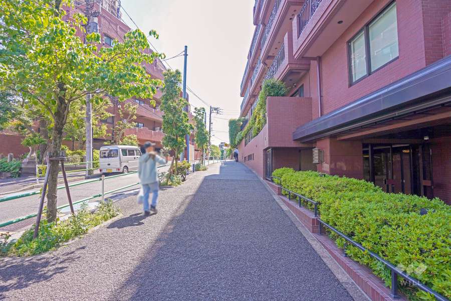 敷地東側の前面道路（北側から）