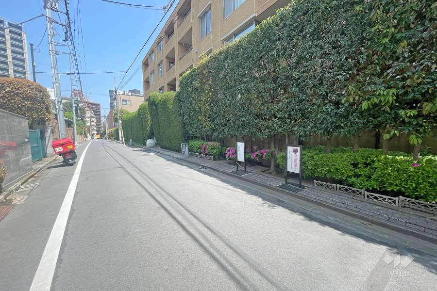 敷地西側の前面道路