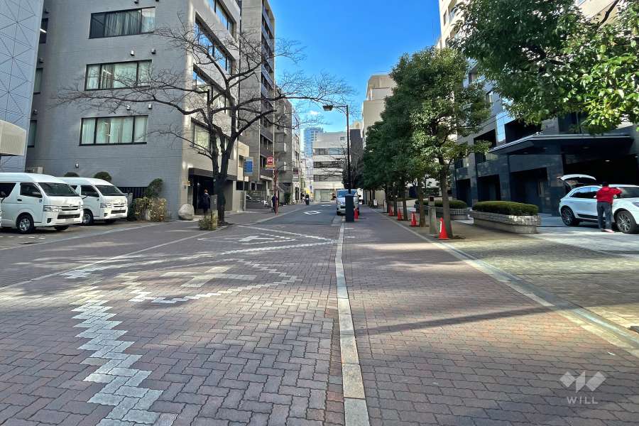 敷地南側の前面道路(東側から)