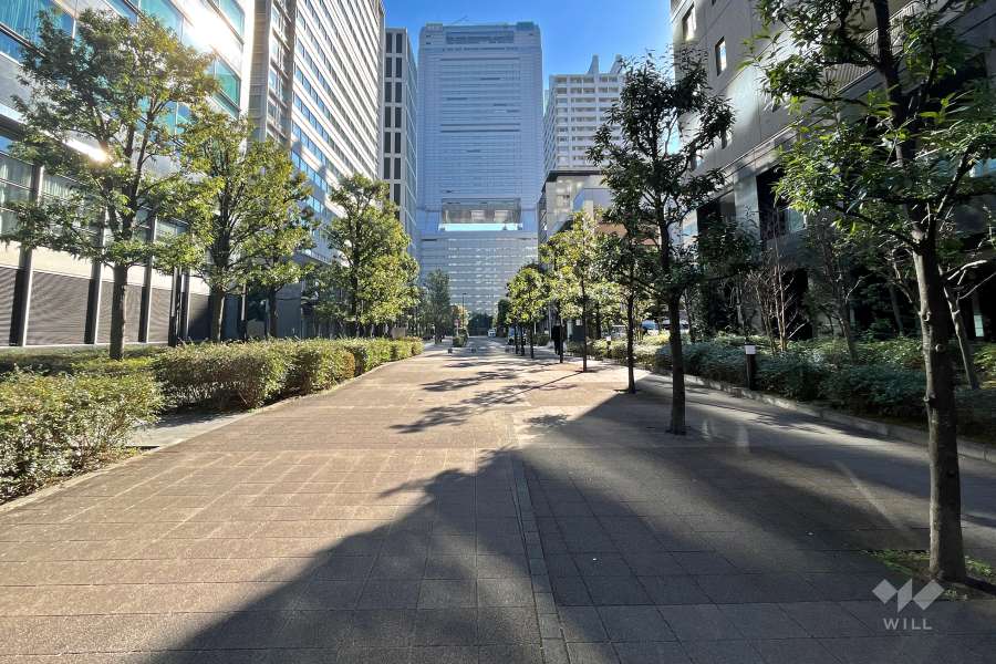 敷地東側の前面道路（北側から）