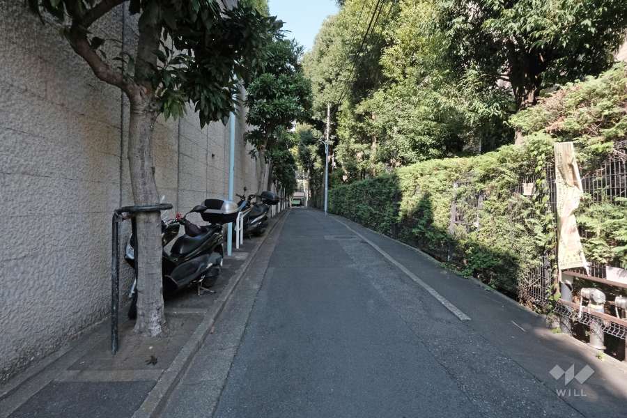 敷地西側の前面道路（南側から）