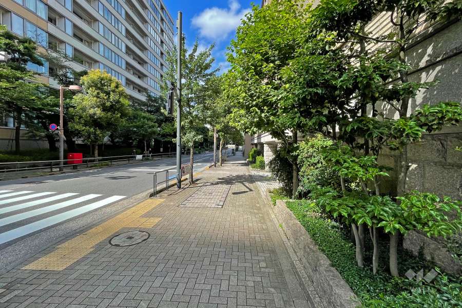 敷地北西側前面道路（南西側から）