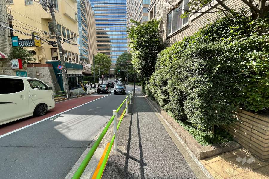 敷地南西側前面道路（南東側から）