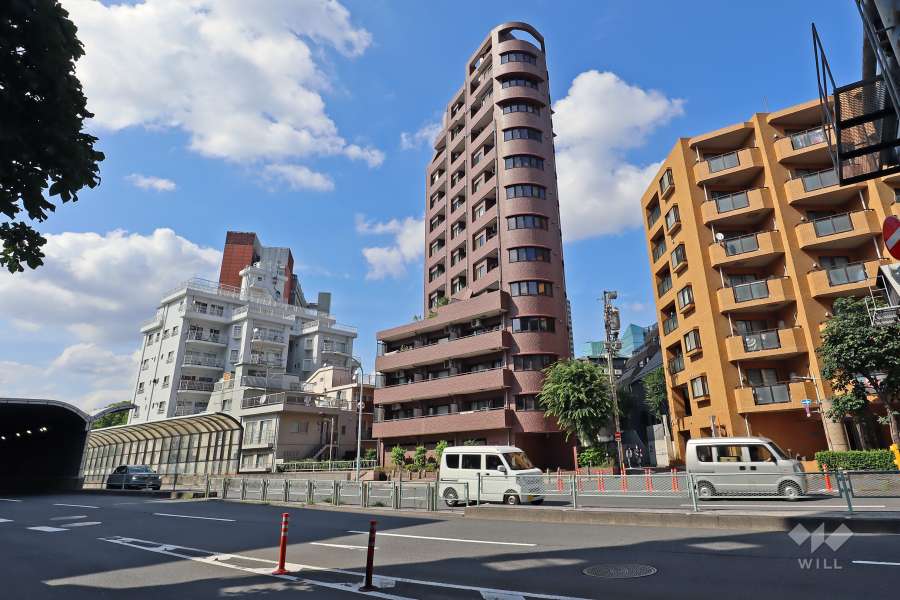 敷地南西側前面道路は都道319号環状三号線です。