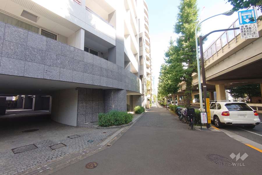 敷地南側の前面道路（西側から）