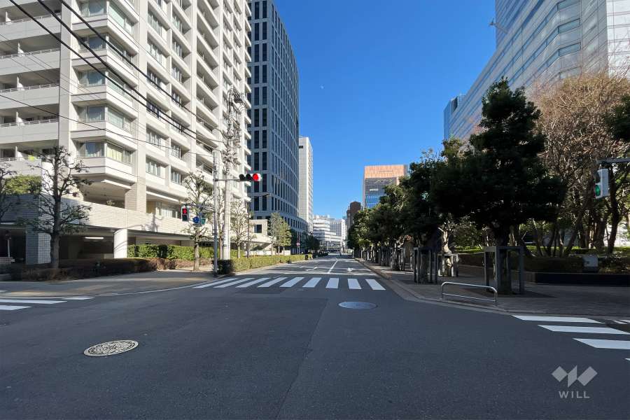 敷地の南側の前面道路(西側から)