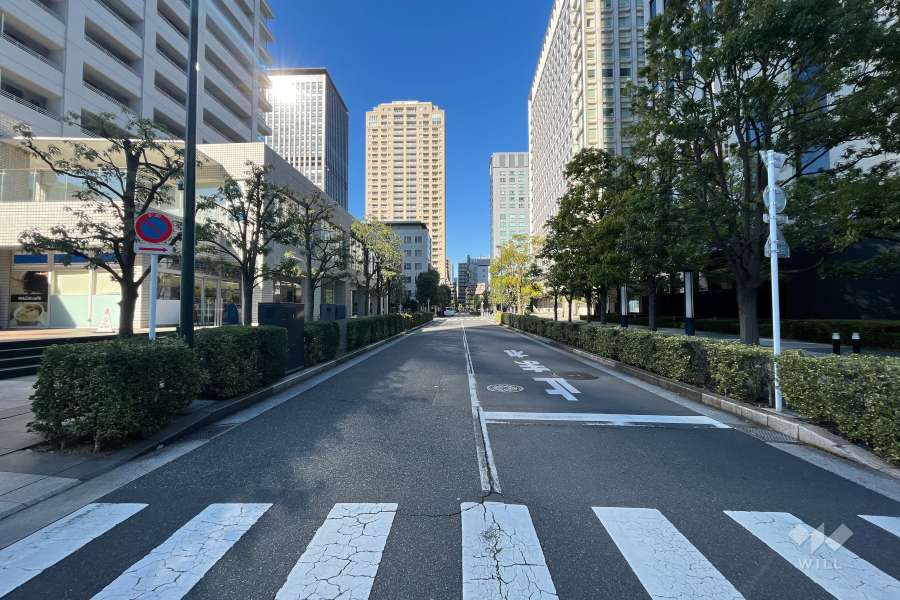 敷地の東側の前面道路(南側から)