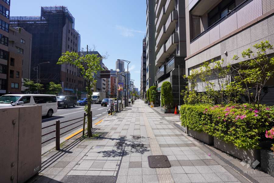 敷地東側の前面道路（北側から）